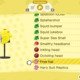 All Splatoon Amiibo Rewards In Animal Crossing: New Horizons 